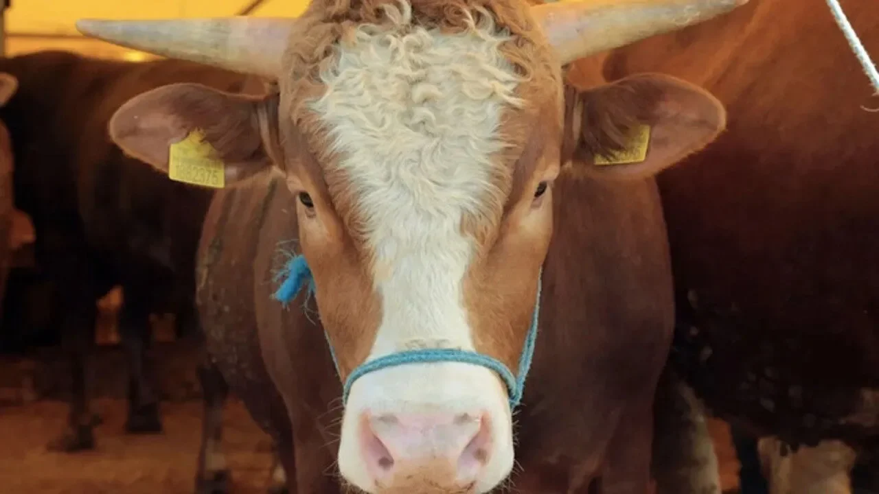 galeri_20260303_201813_b3dd00b34b3fd7e8b77c